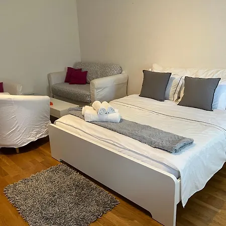 7 Min Walking From Gare Lozan