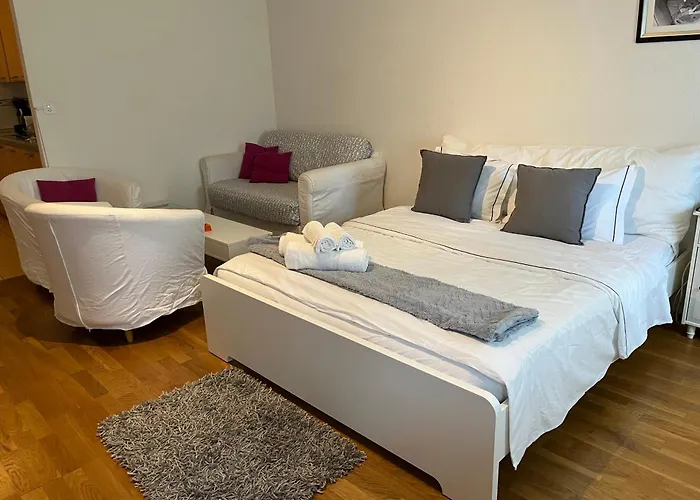 7 Min Walking From Gare Lausana